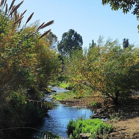 Villa By The River Facing The Hermon In Dafna Exteriér fotografie
