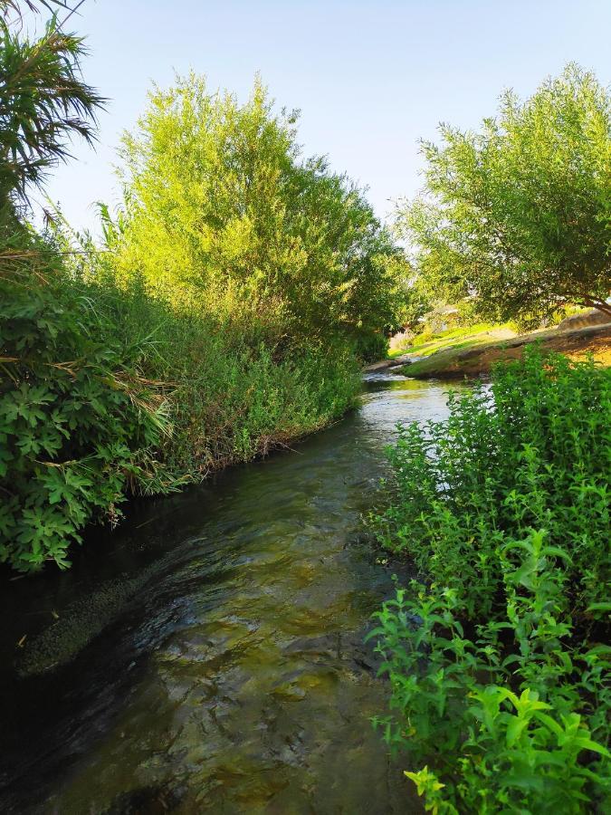 Villa By The River Facing The Hermon In Dafna Exteriér fotografie