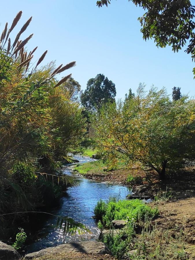Villa By The River Facing The Hermon In Dafna Exteriér fotografie